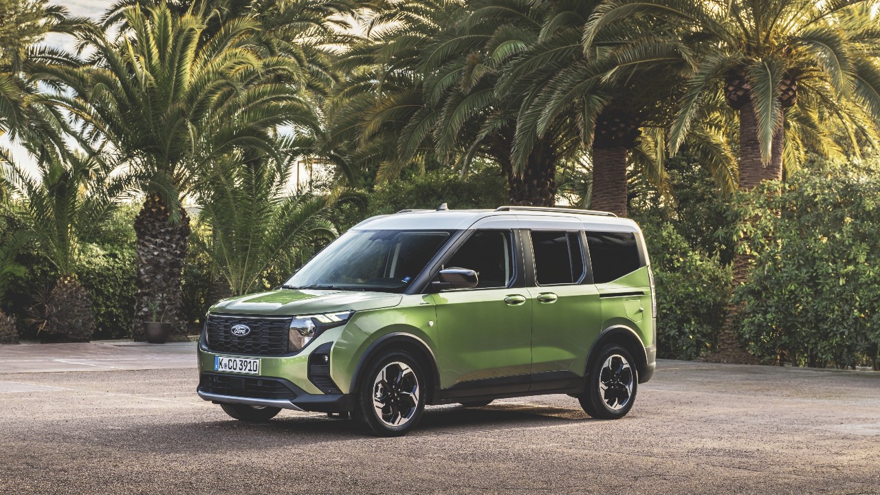 Ford Tourneo Courier unter Palmen