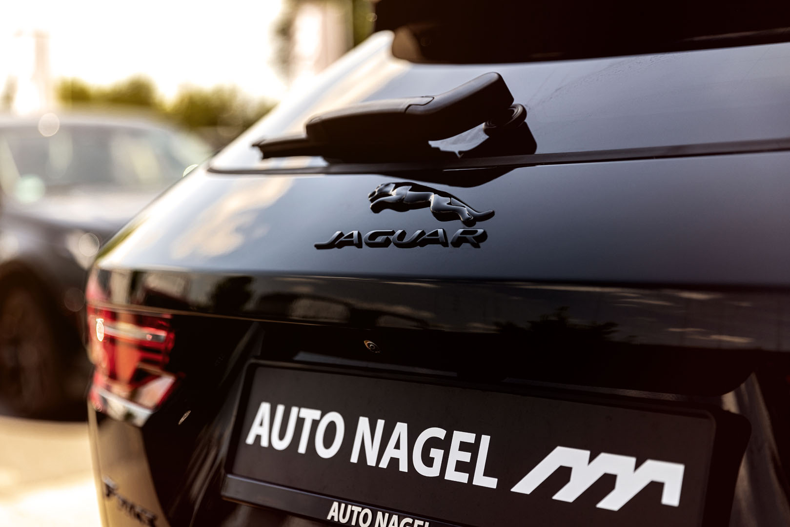 Jaguar F-PACE von hinten