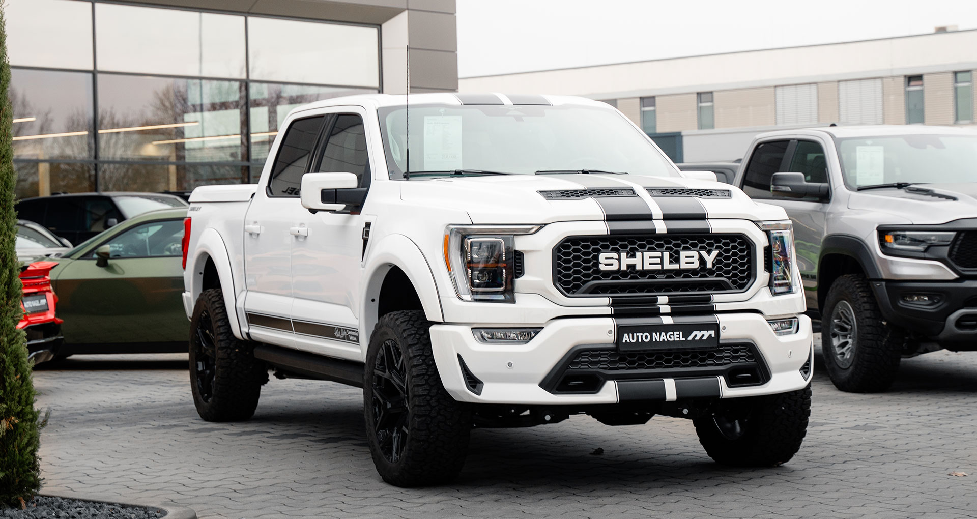 Shelby_F_150_ Aussenansicht