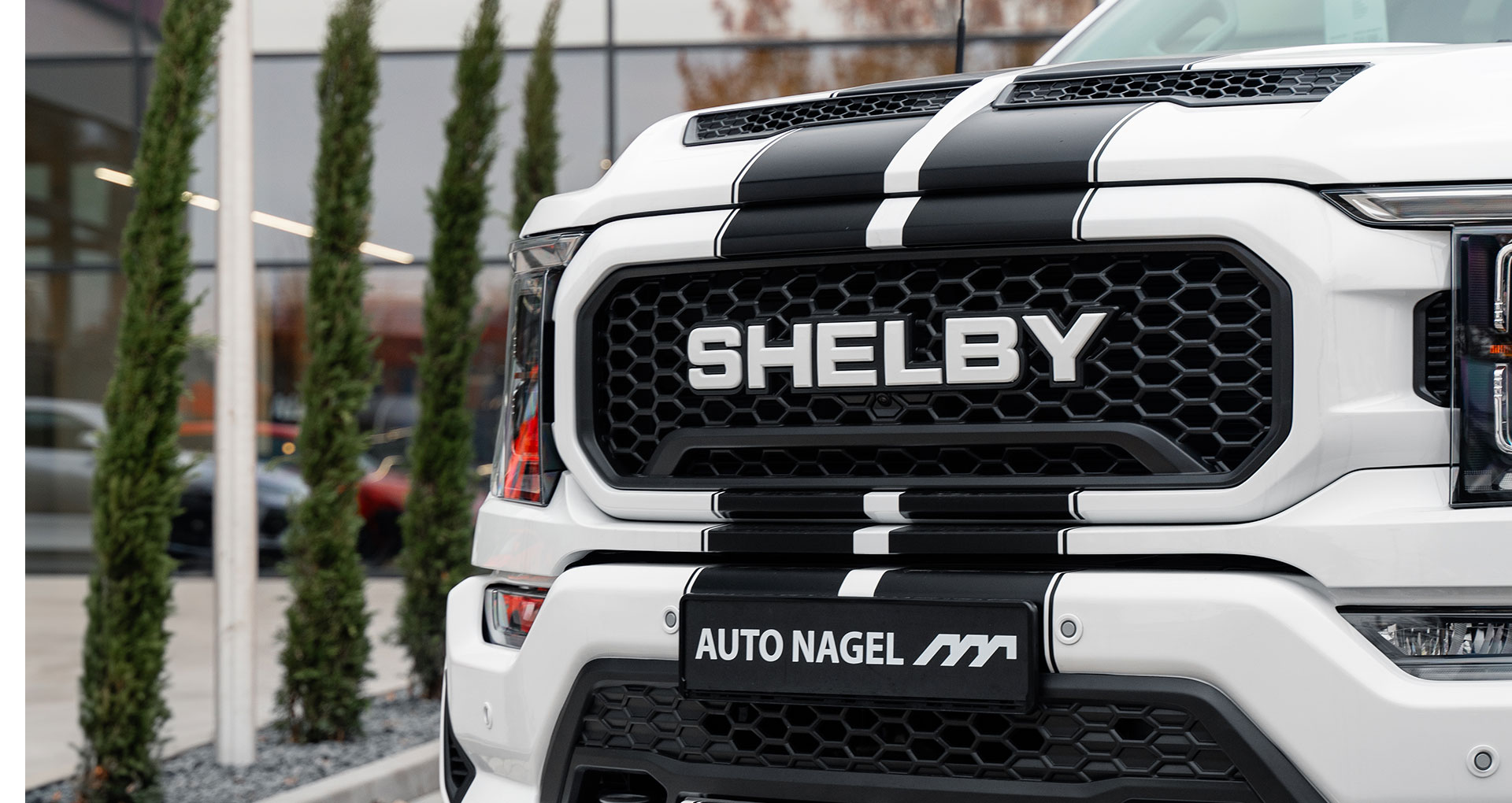 Shelby_F_150_ Aussenansicht
