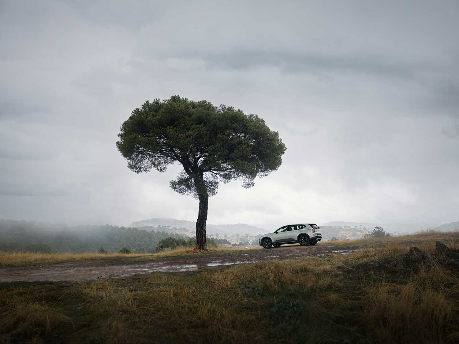 Volvo EX60 an einem Baum