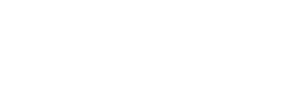 Passion For Mobility